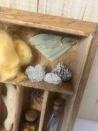 Small curiosity cabinet