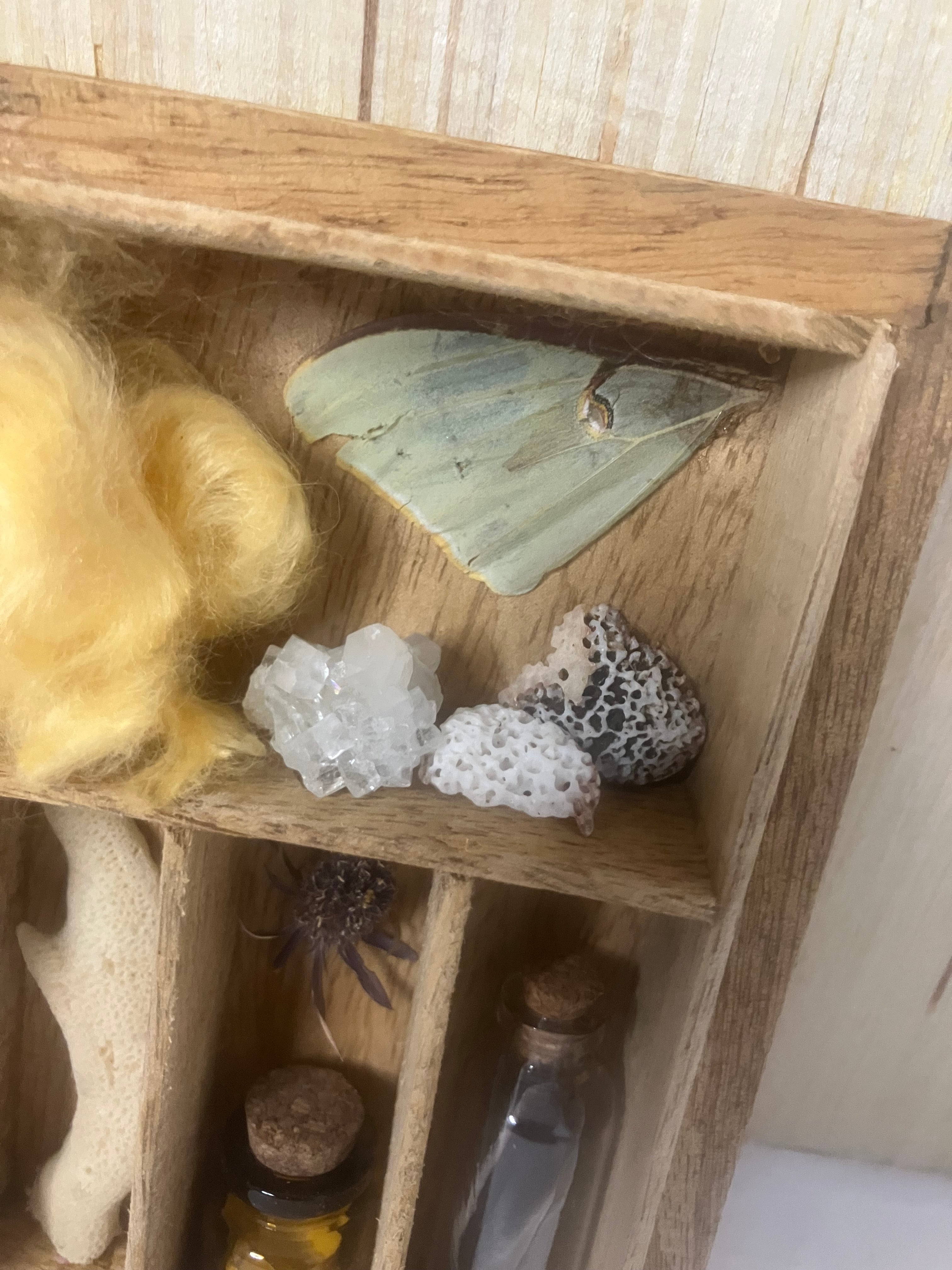 Small curiosity cabinet