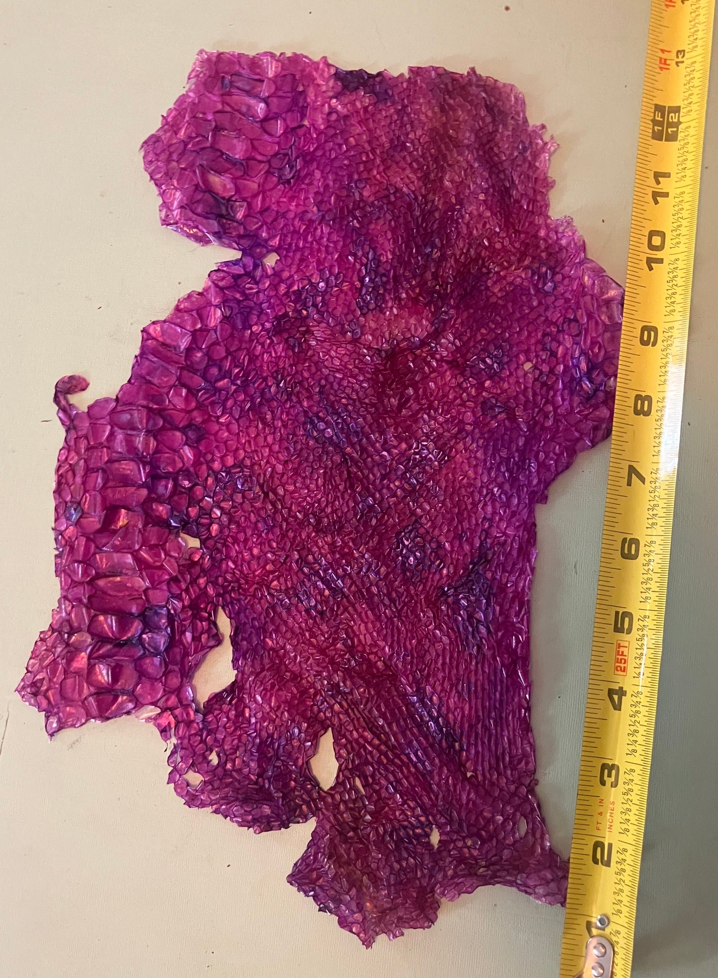 Dyed Snake Shed Pieces