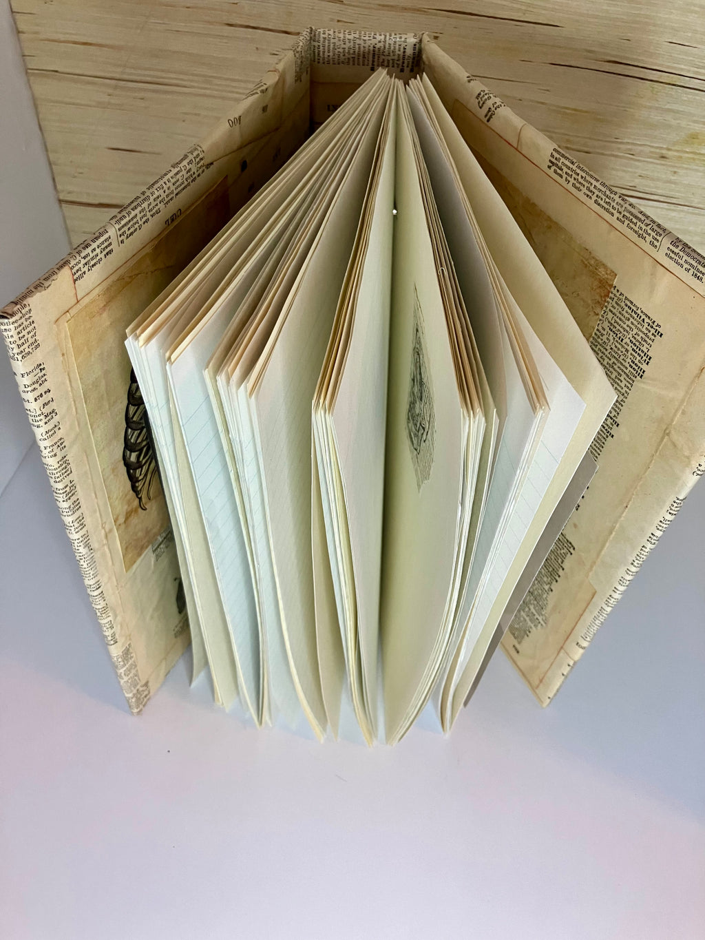 Vintage anatomy large junk journal
