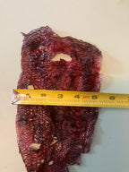 Single dyed snake shed pieces