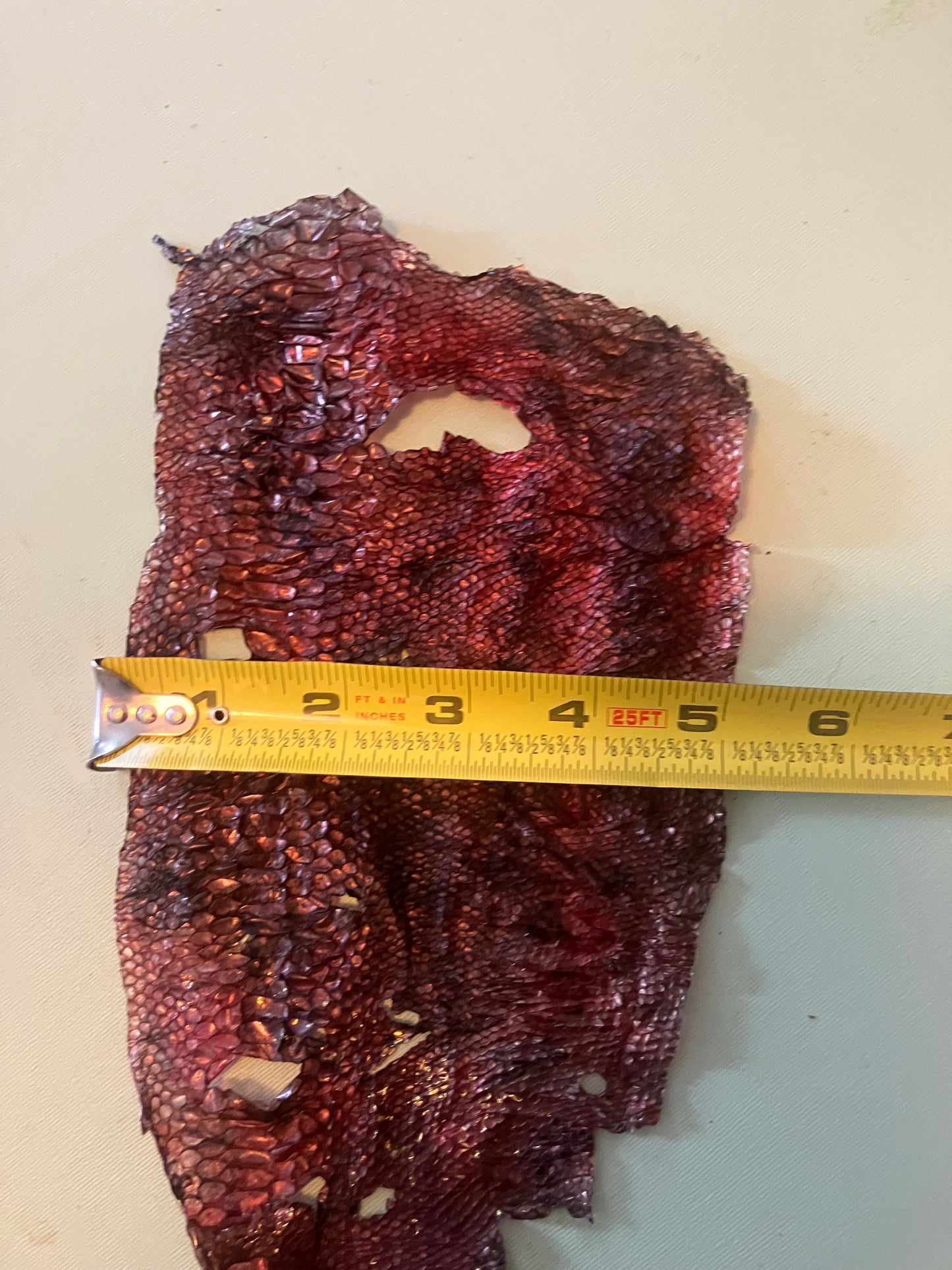 Dyed Snake Shed Pieces
