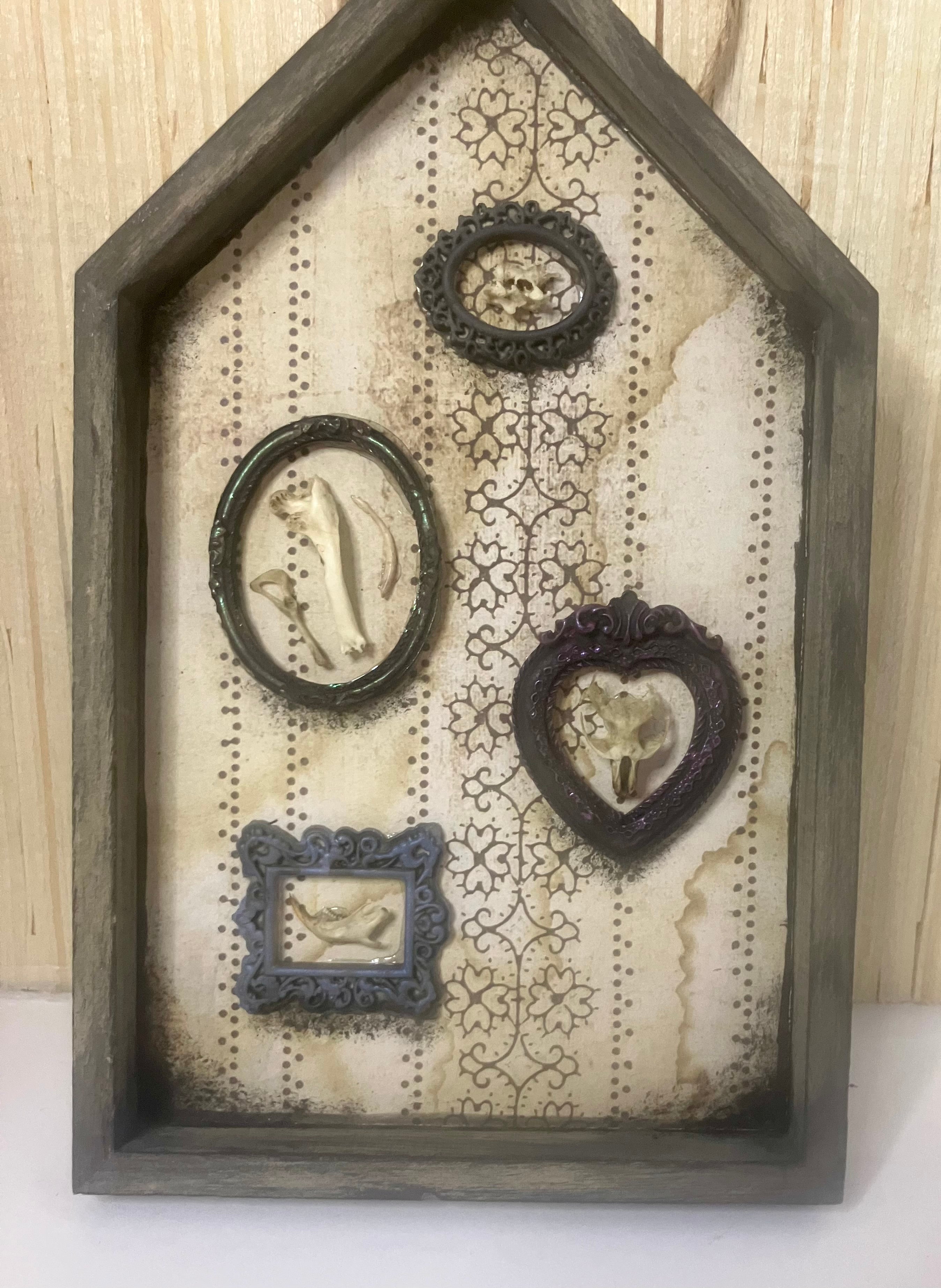 Shadow box houses with small framed bones