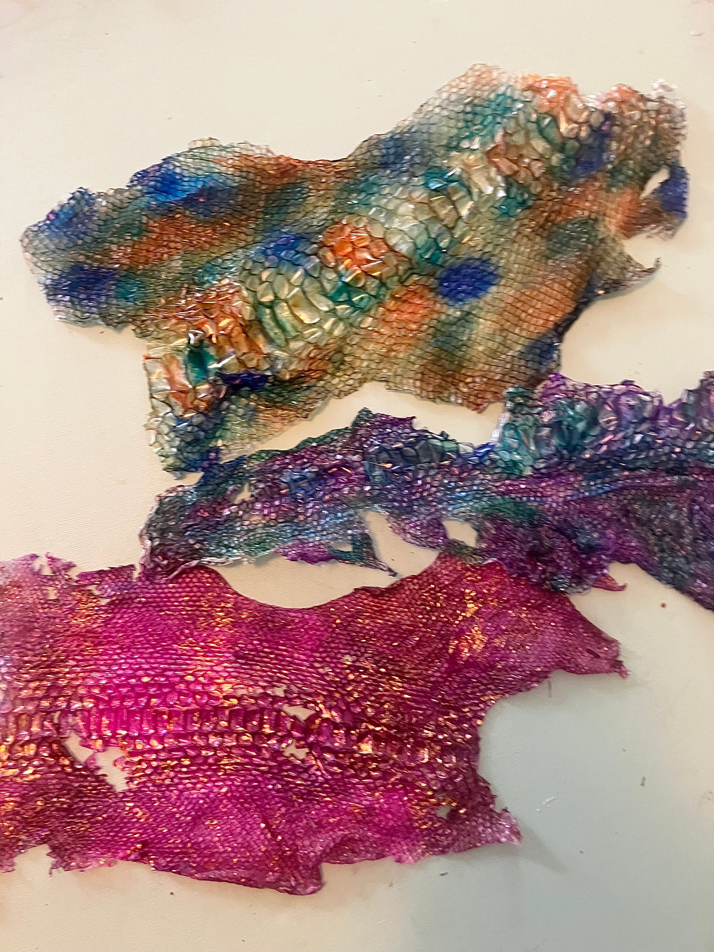 Dyed Snake Shed Pieces — Multi-Pack