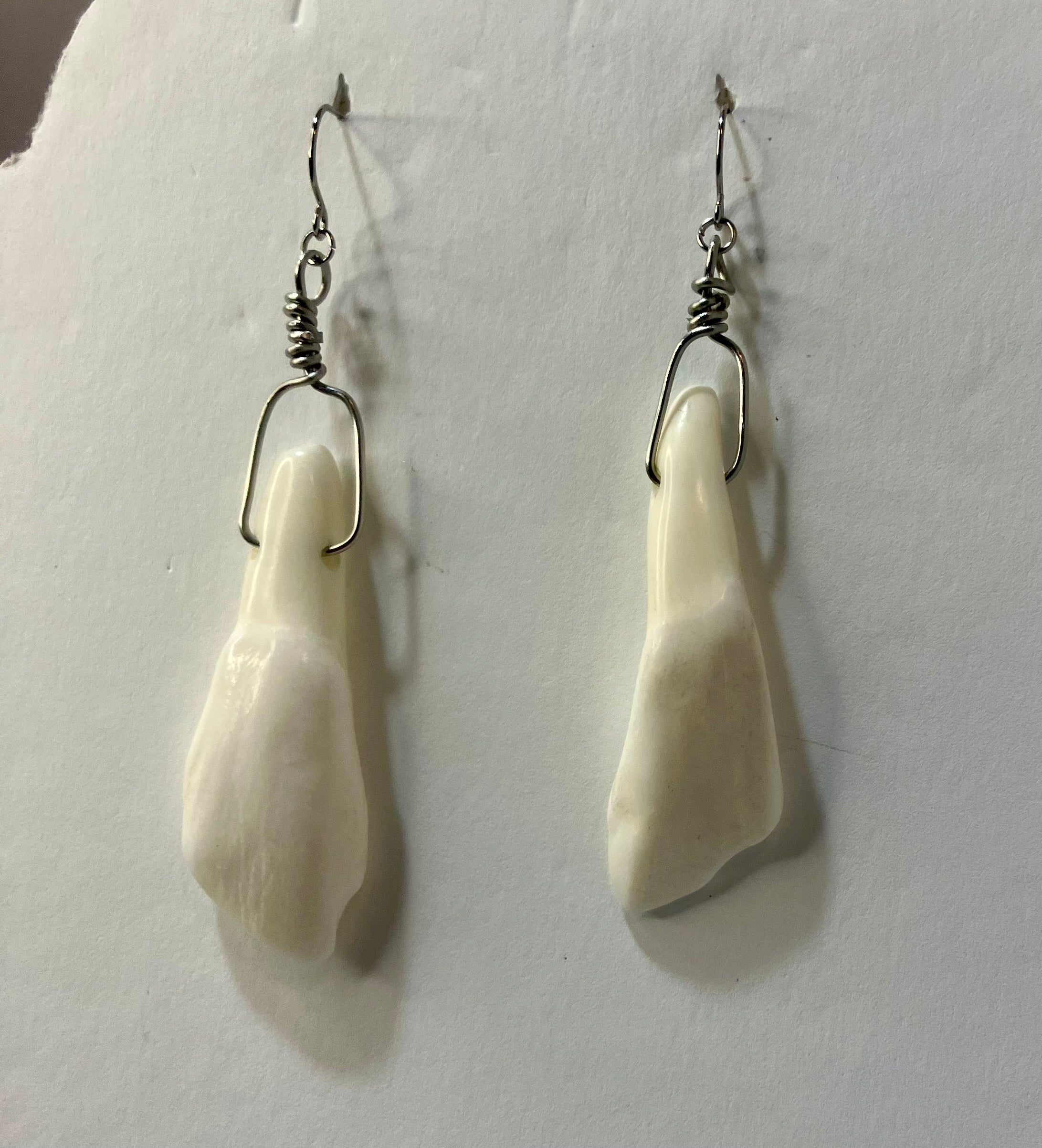 Buffalo tooth jewelry