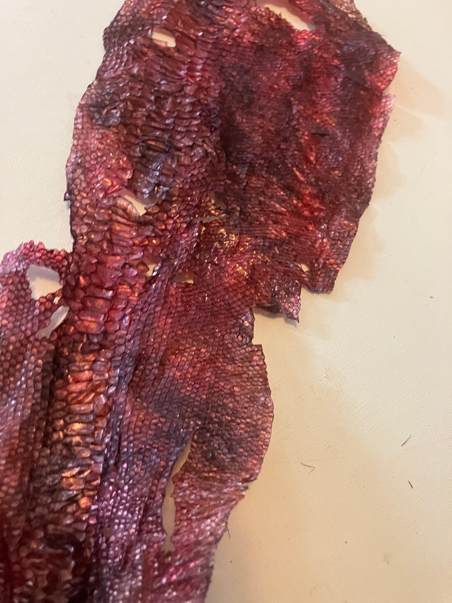 Dyed Snake Shed Pieces