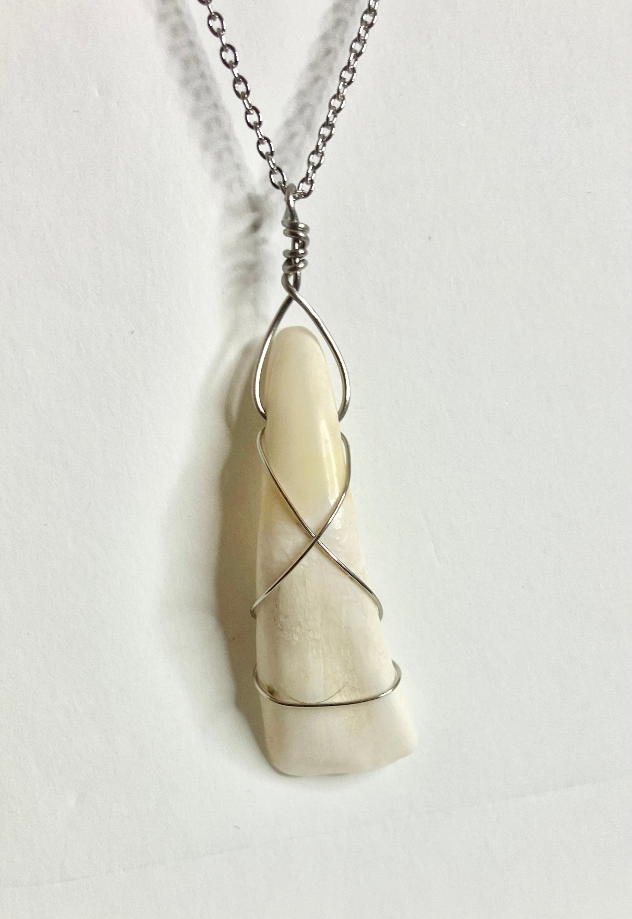 Buffalo tooth jewelry