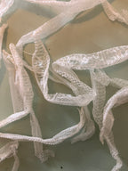 Natural snake shed pieces