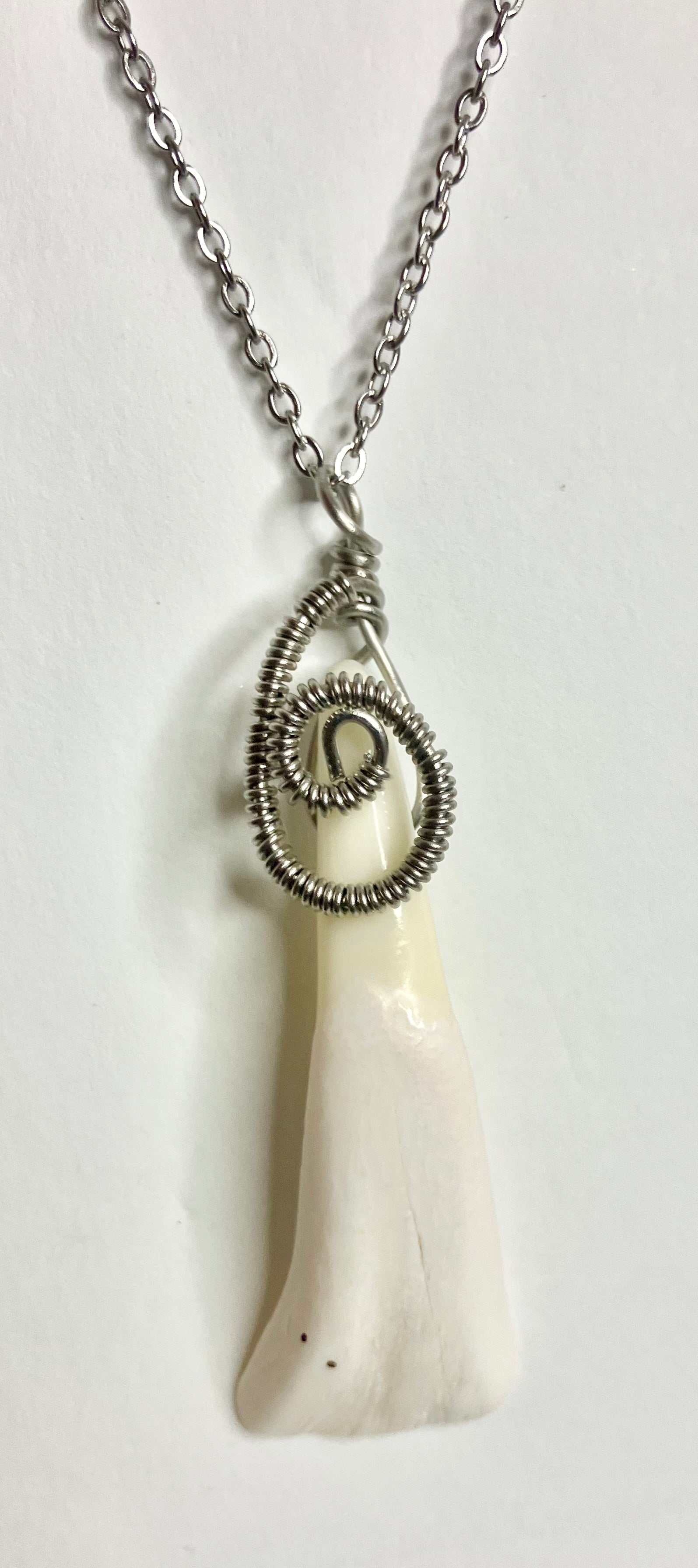 Buffalo tooth jewelry