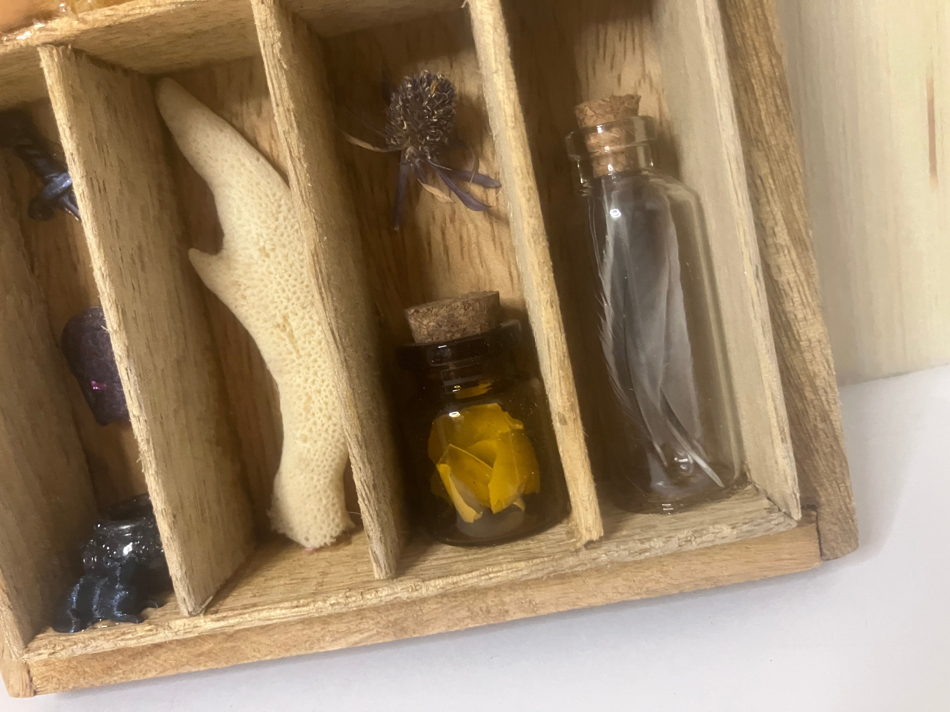 Small curiosity cabinet