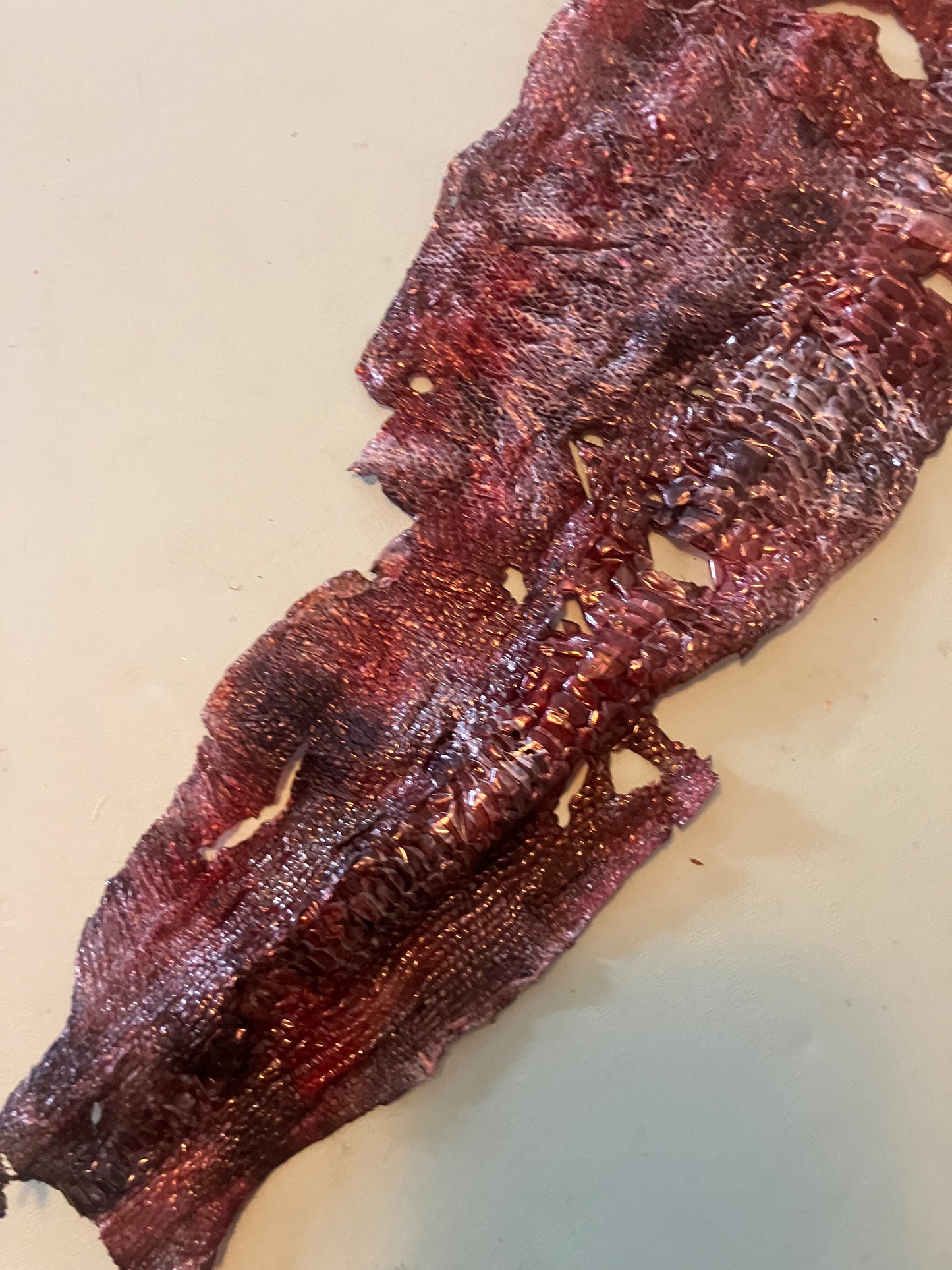Dyed Snake Shed Pieces