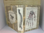 Vintage anatomy large junk journal