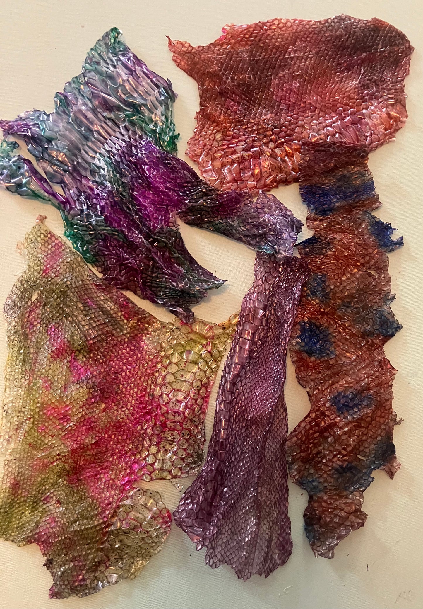 Dyed Snake Shed Pieces — Multi-Pack