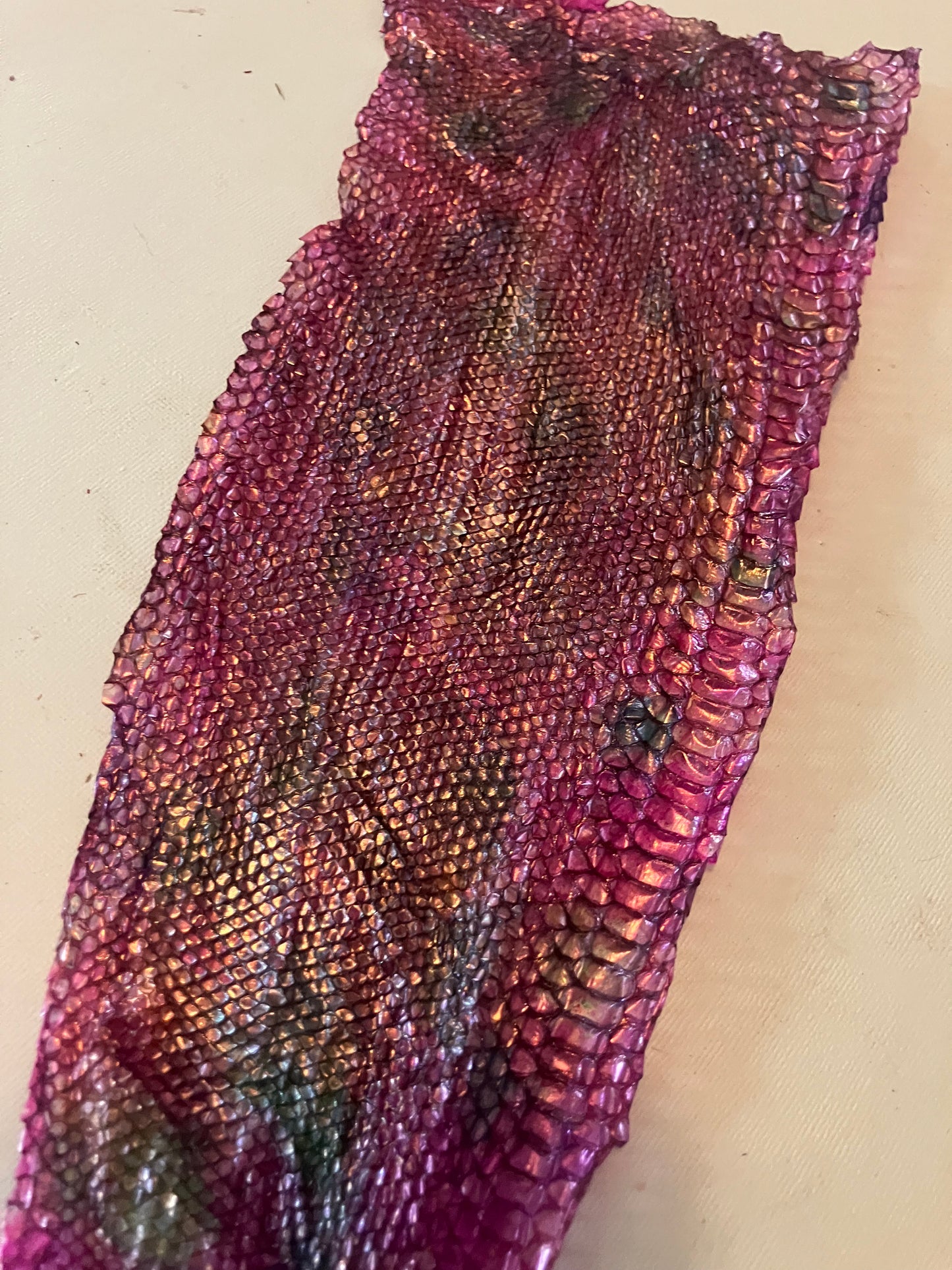 Dyed Snake Shed Pieces