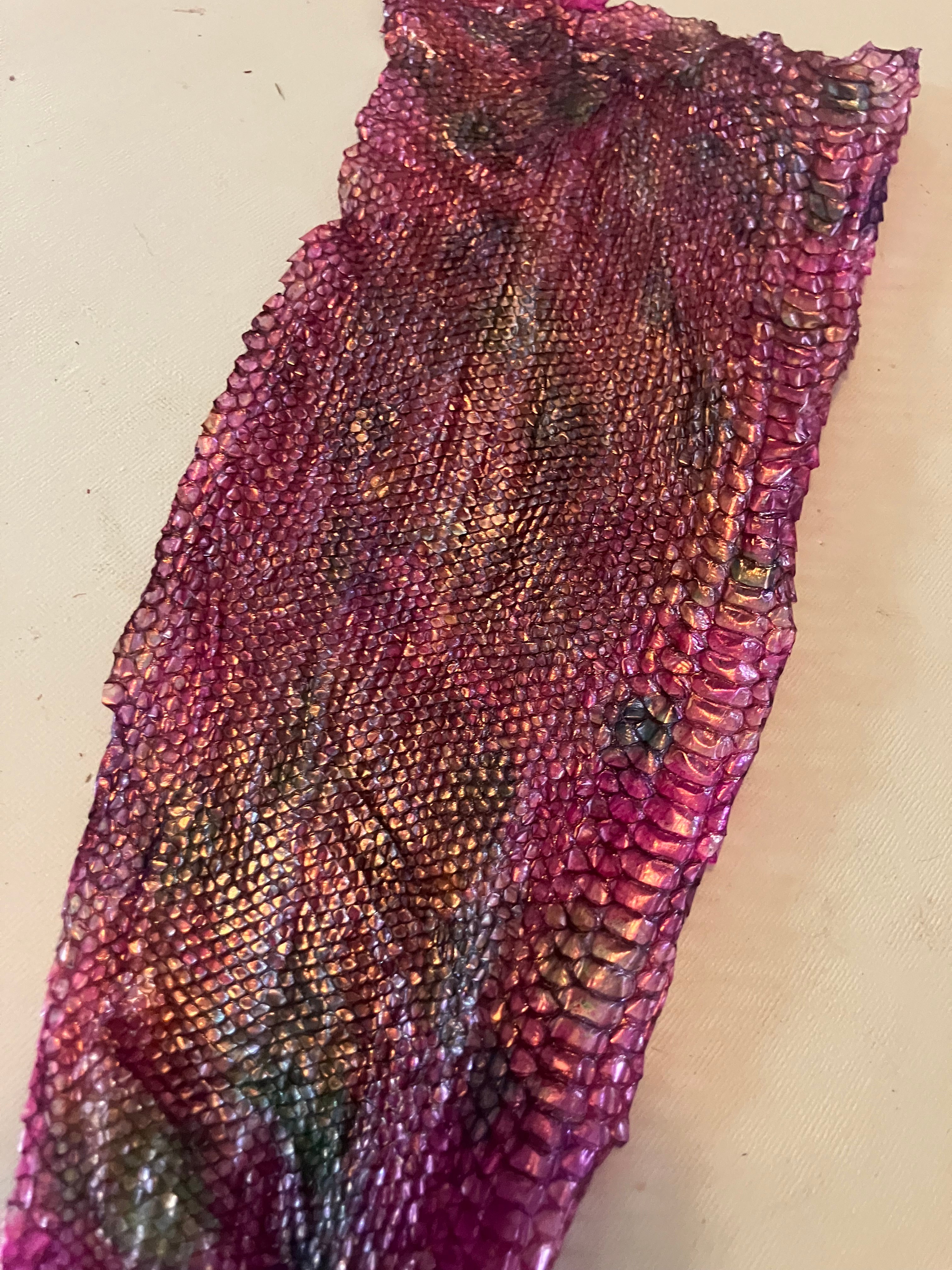 Single dyed snake shed pieces