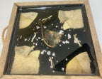 Half mouse and turtle bones