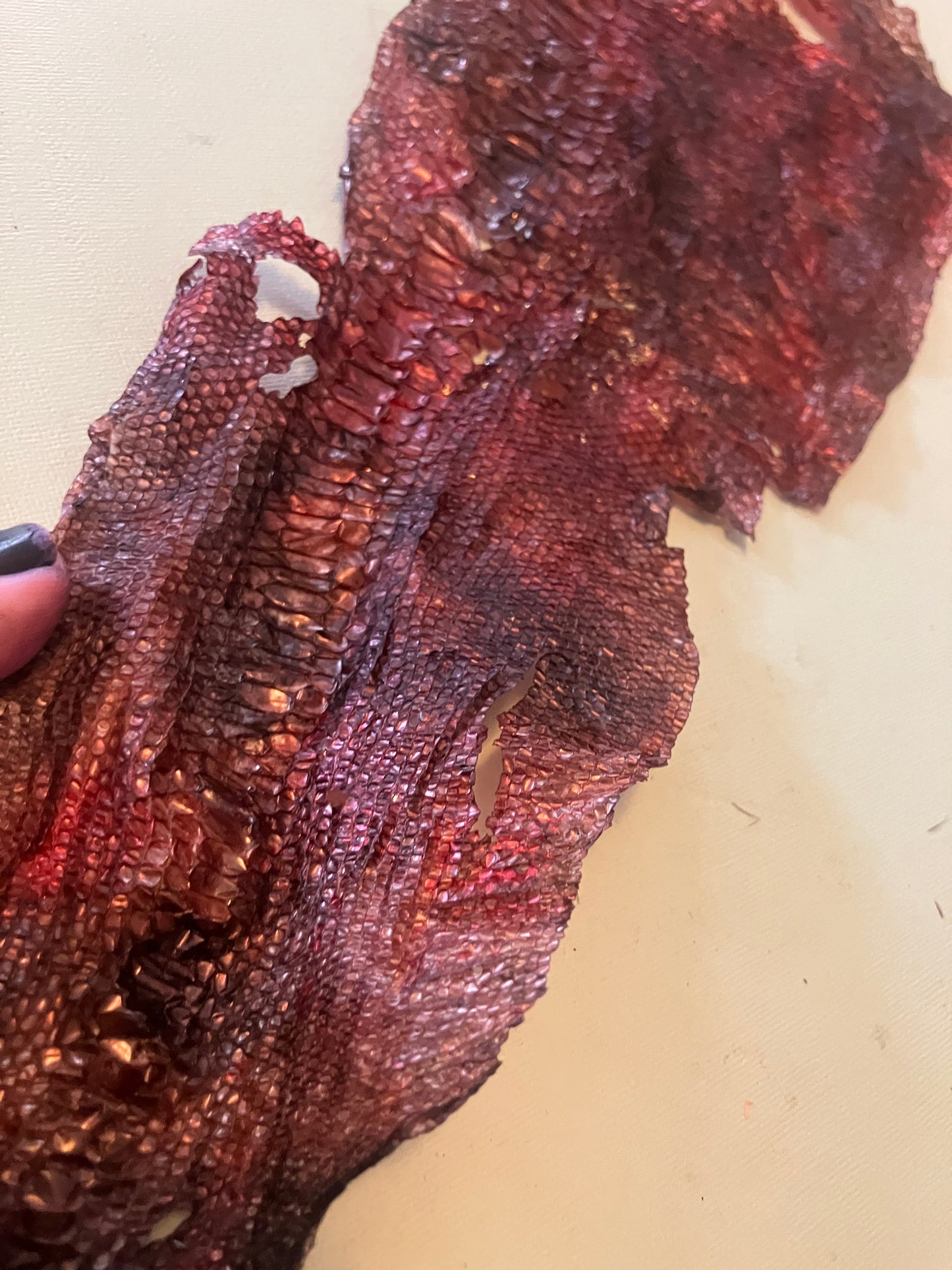 Dyed Snake Shed Pieces