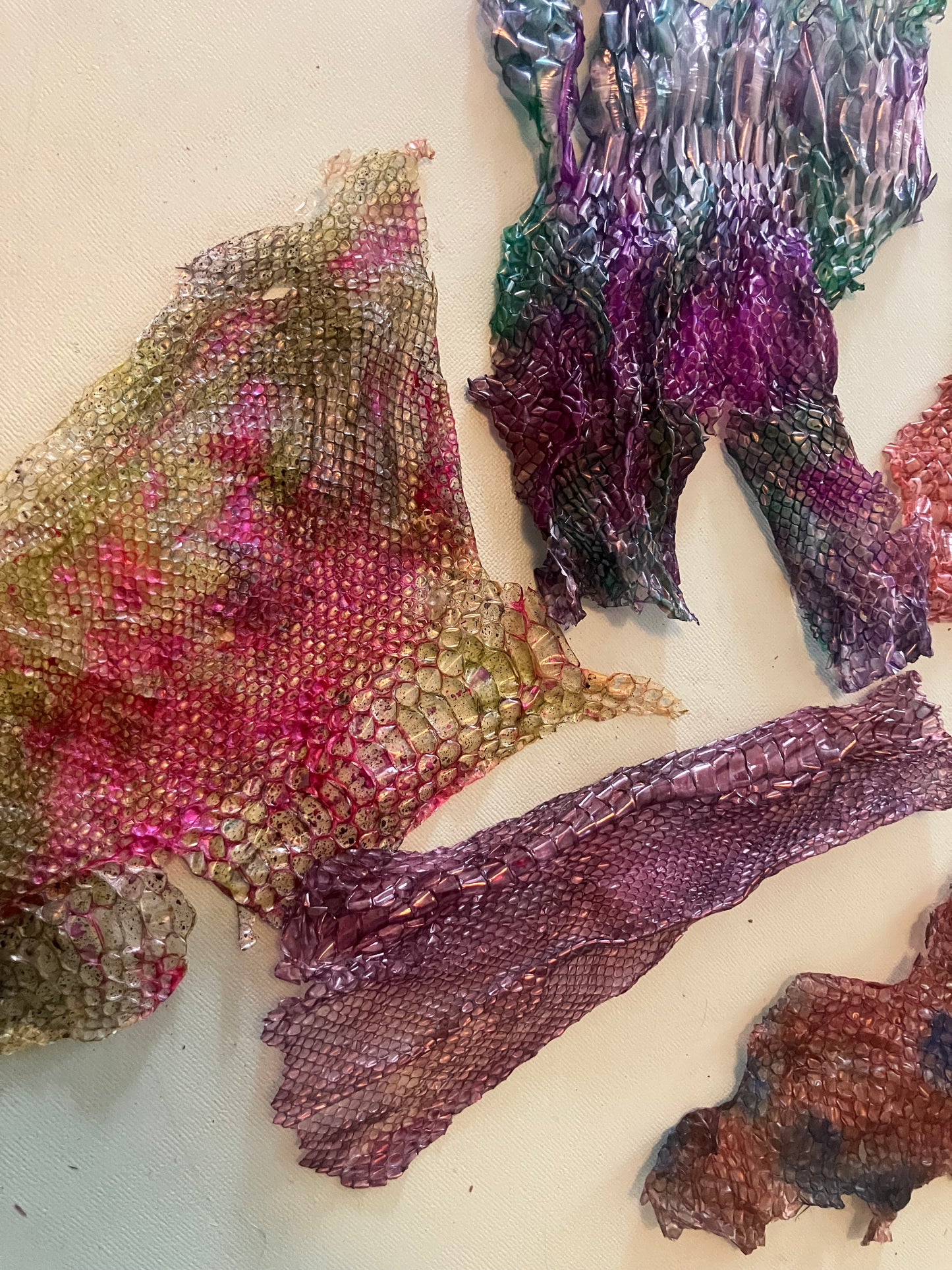 Dyed Snake Shed Pieces — Multi-Pack
