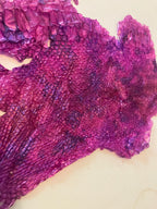 Single dyed snake shed pieces