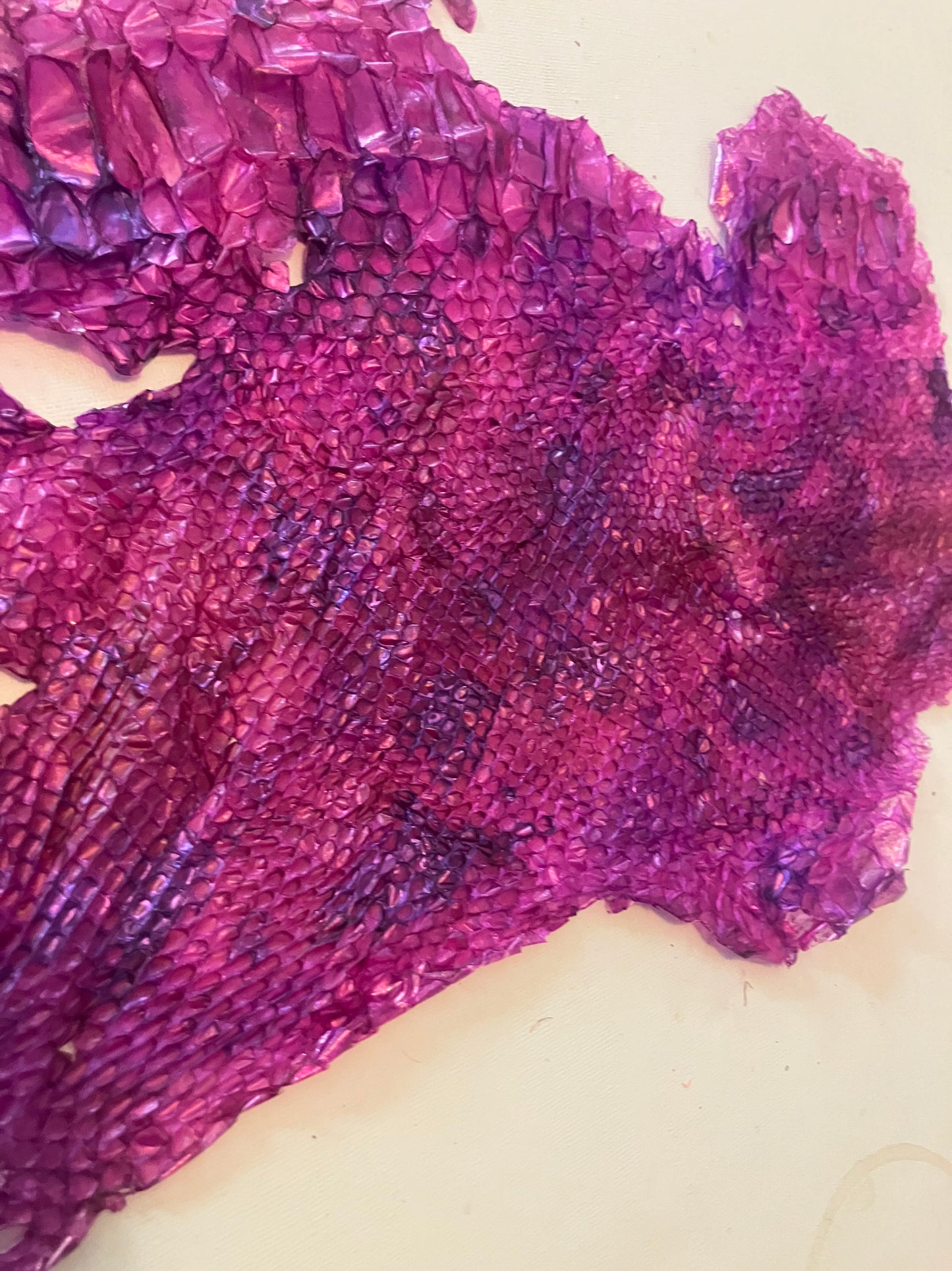 Dyed Snake Shed Pieces