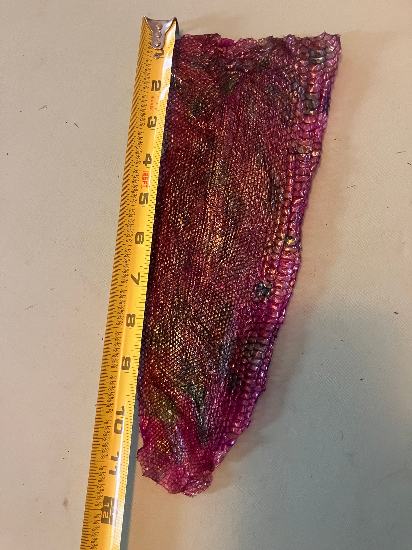 Dyed Snake Shed Pieces