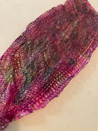 Single dyed snake shed pieces