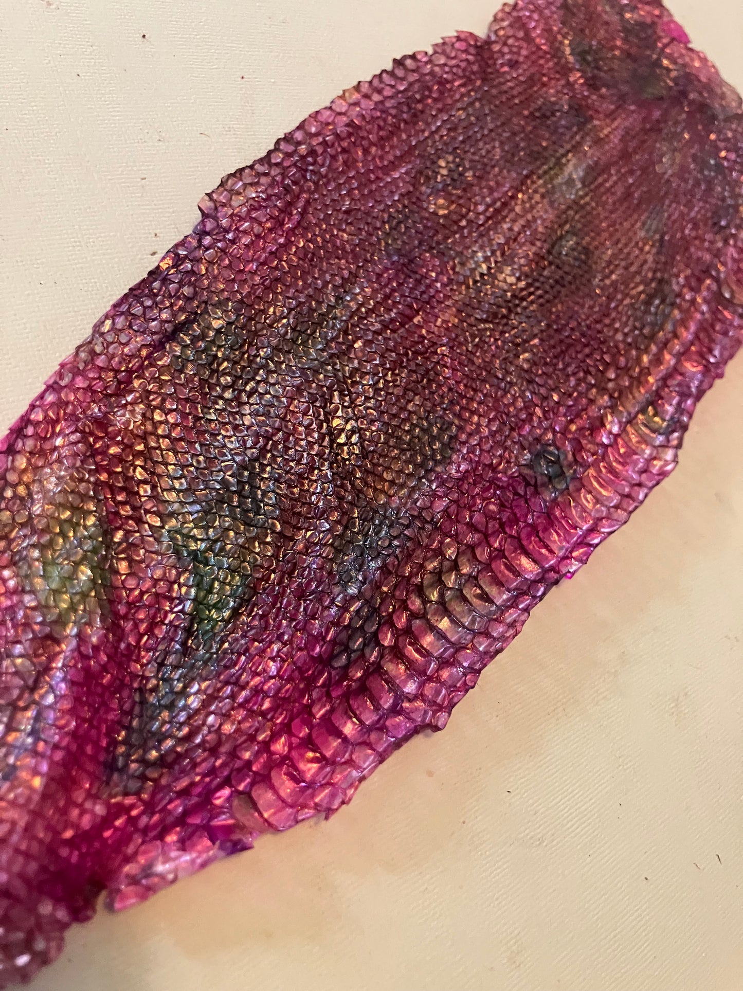 Dyed Snake Shed Pieces