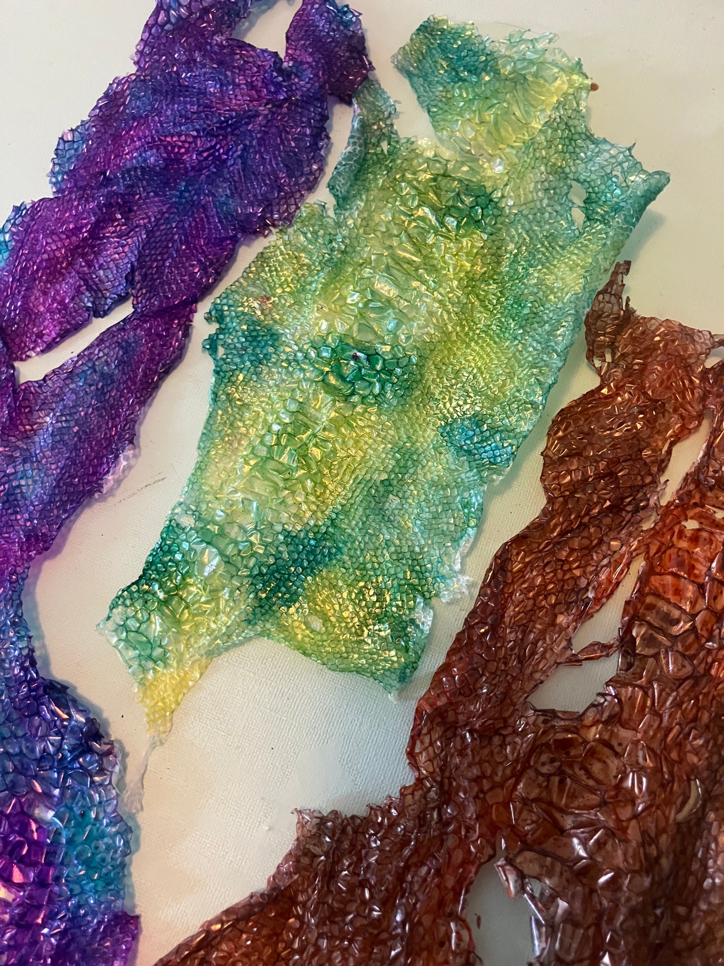 Dyed Snake Shed Pieces — Multi-Pack